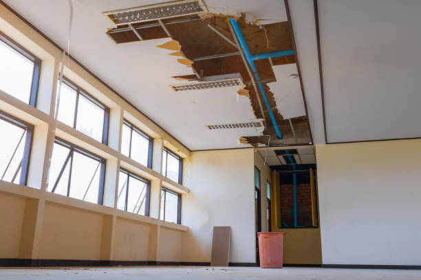 Best Professional water damage repair  in Shasta, CA