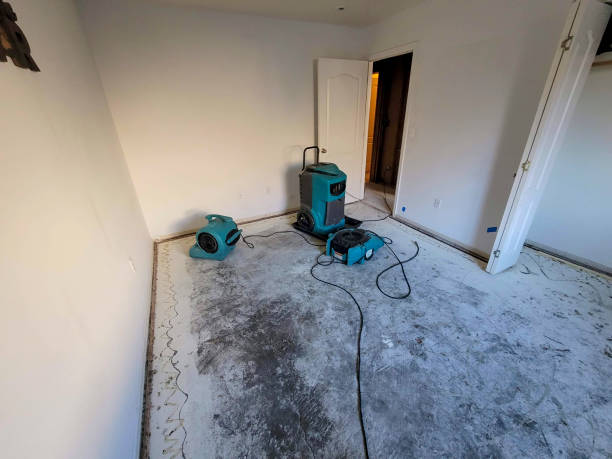 Best Basement water damage restoration  in Shasta, CA