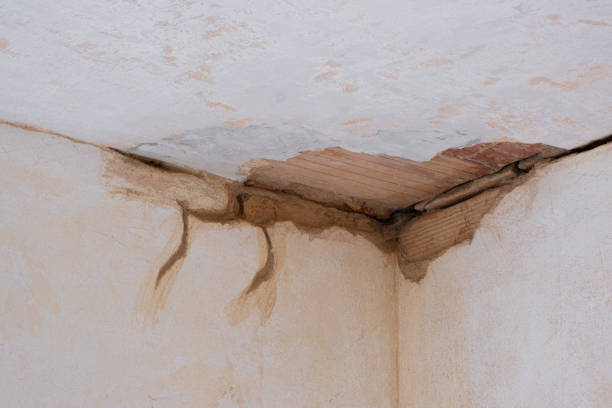 Best Water damage mitigation services  in Shasta, CA