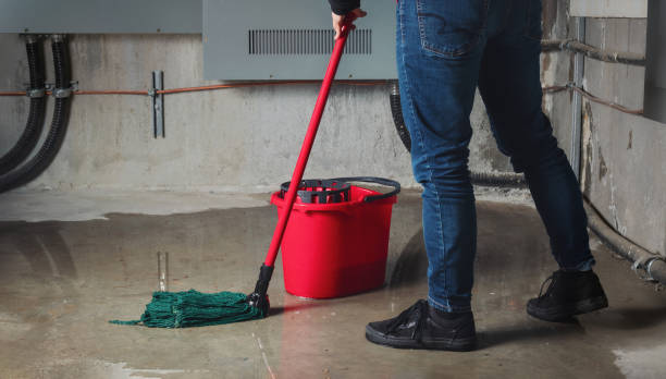 Best Emergency water damage restoration  in Shasta, CA