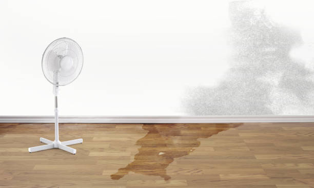 Best Water damage repair service  in Shasta, CA