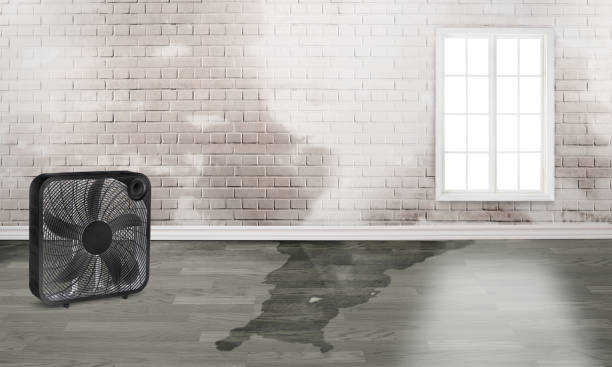 Best 24/7 water damage repair  in Shasta, CA