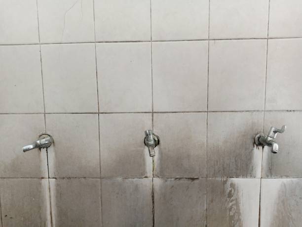 Carpet water damage restoration in Shasta, CA