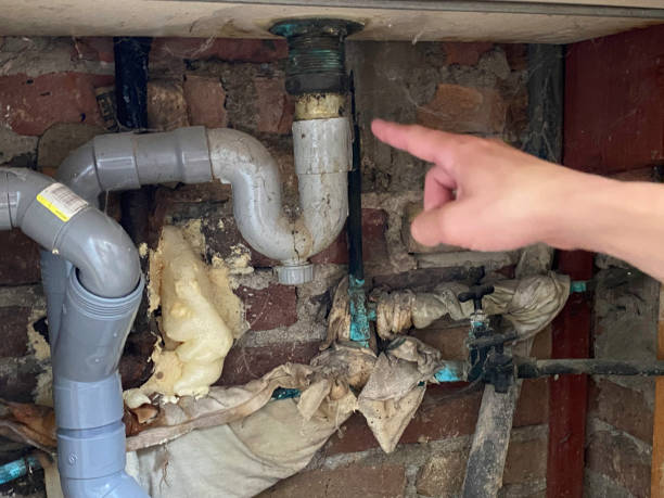 Local water damage restoration in Shasta, CA