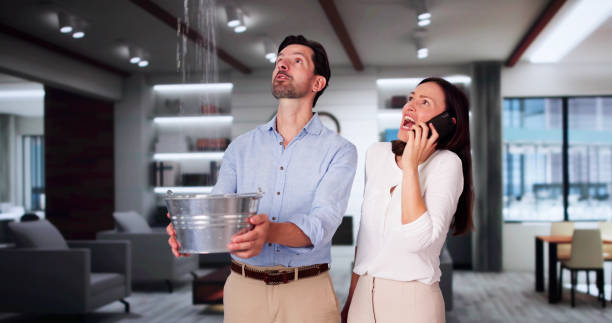 Best Water damage cleanup near me  in Shasta, CA